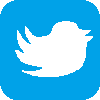 Twitter Icon